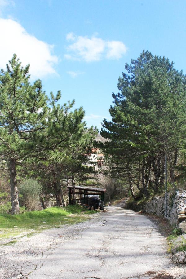 Vila Mini Stone House Omiš Exteriér fotografie